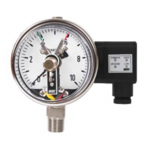 Đồng hồ đo áp suất có dầu P510 Wise - Wise Vietnam